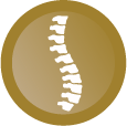 Spinal Friendly